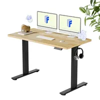 FlexiSpot EN1 One-Piece Solid Wooden (48 x 24 inch)