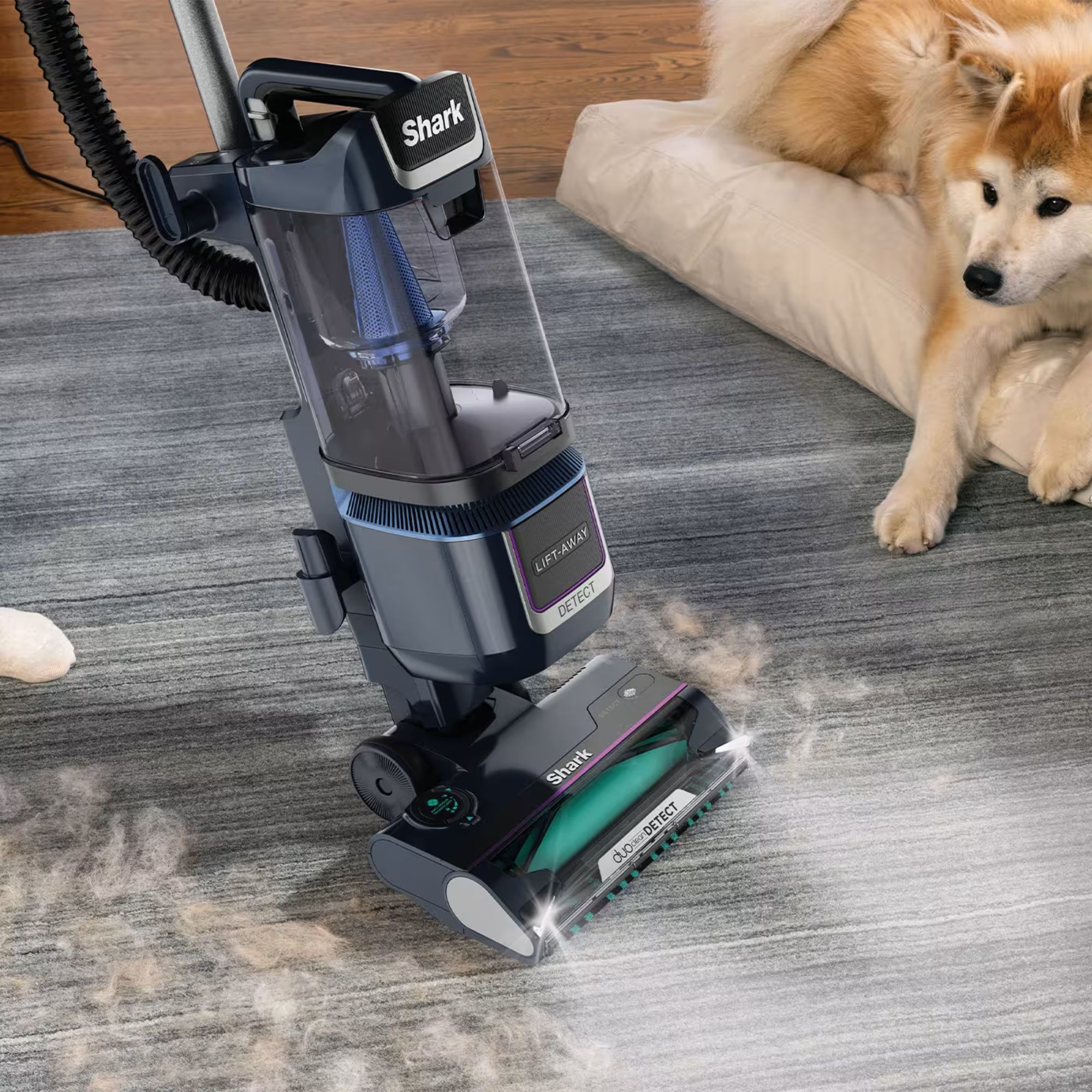 SHARK Detect Lift-Away XL Anti Hair Wrap Plus Pet Expert LA790UKT cleaning carpet with dog hair all over it, with a dog lying in a bed next to it