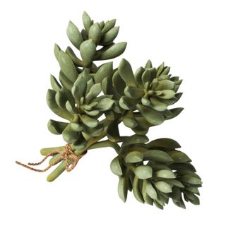 Sedum Succulent Mini Stem Bundle - Threshold™