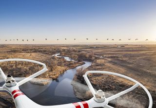 Drone flying over a rural setting with birds on the horizon