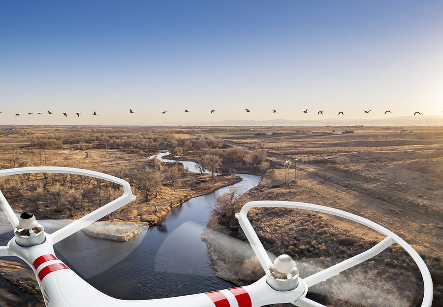 Drone flying over a rural setting with birds on the horizon