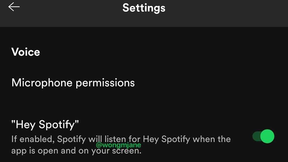 Spotify is reportedly testing native &quot;Hey Spotify&quot; voice assistant