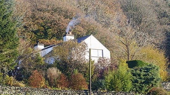 house with grassland and trees