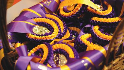 A basket of HOYS rosettes