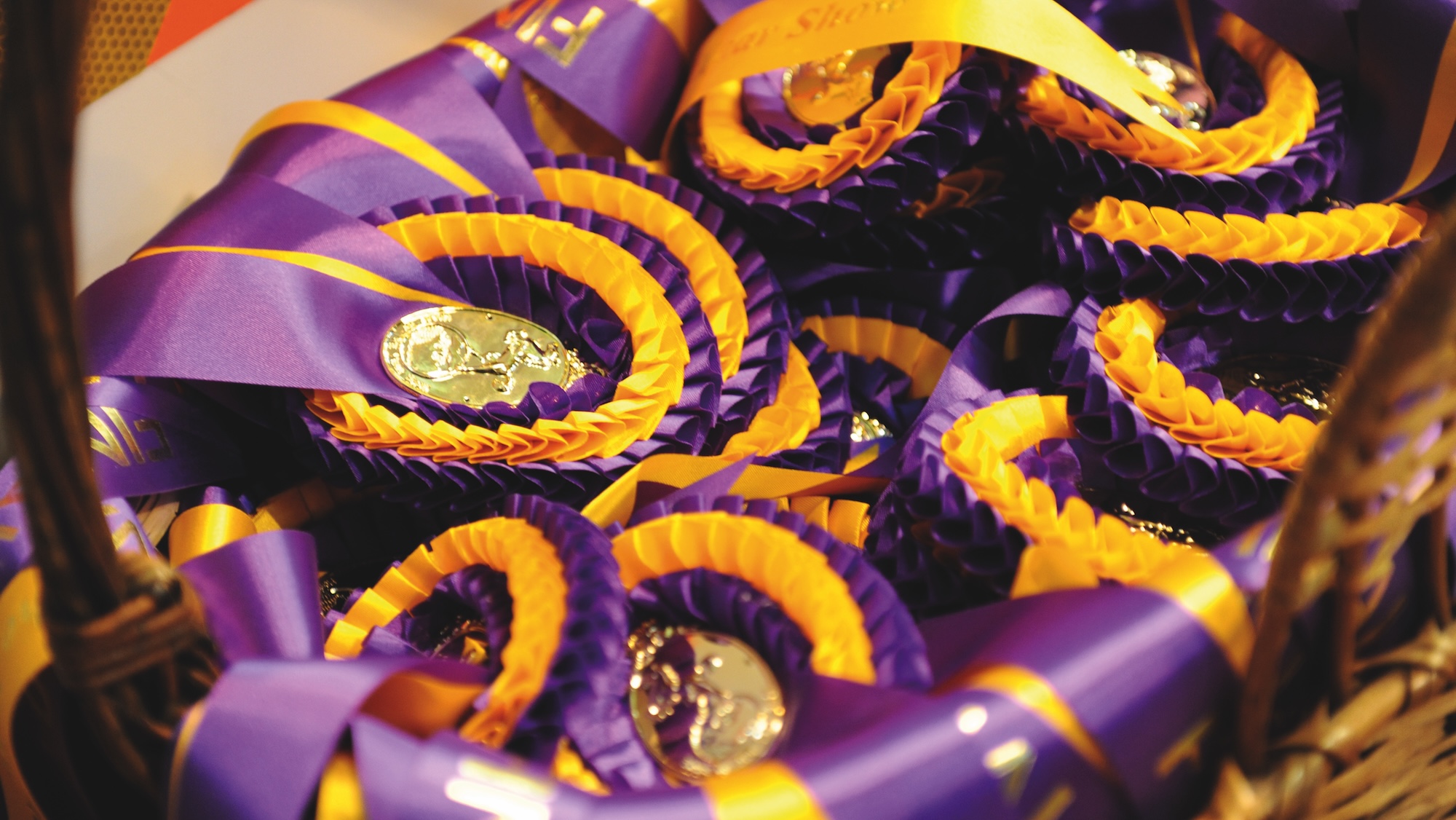 A basket of HOYS rosettes