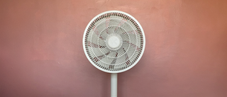 Duux Whisper Flex 2 pedestal fan against a pink wall