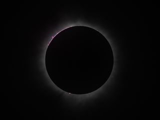 the eclipse appears as a black circle with a hazy white outline and some bright bring regions on the border between the dark circle and white haze, these are the solar prominences.