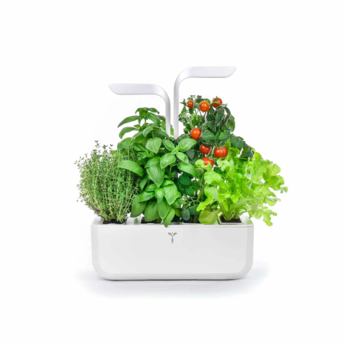 souschef, Veritable Classic Indoor Herb Garden