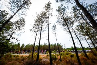 Tour de France stage 7 LIVE: The break is brought back and the bunch prepare for a sprint in Bordeaux