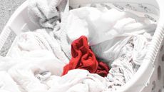 A red sock in a basket of white washing