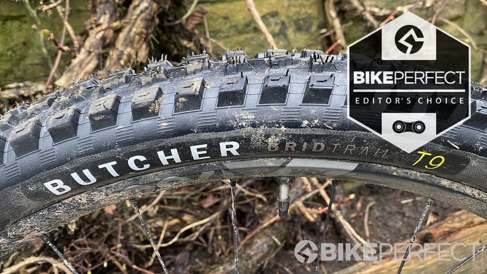 Best Mountain Bike Tires 2024 | BikePerfect