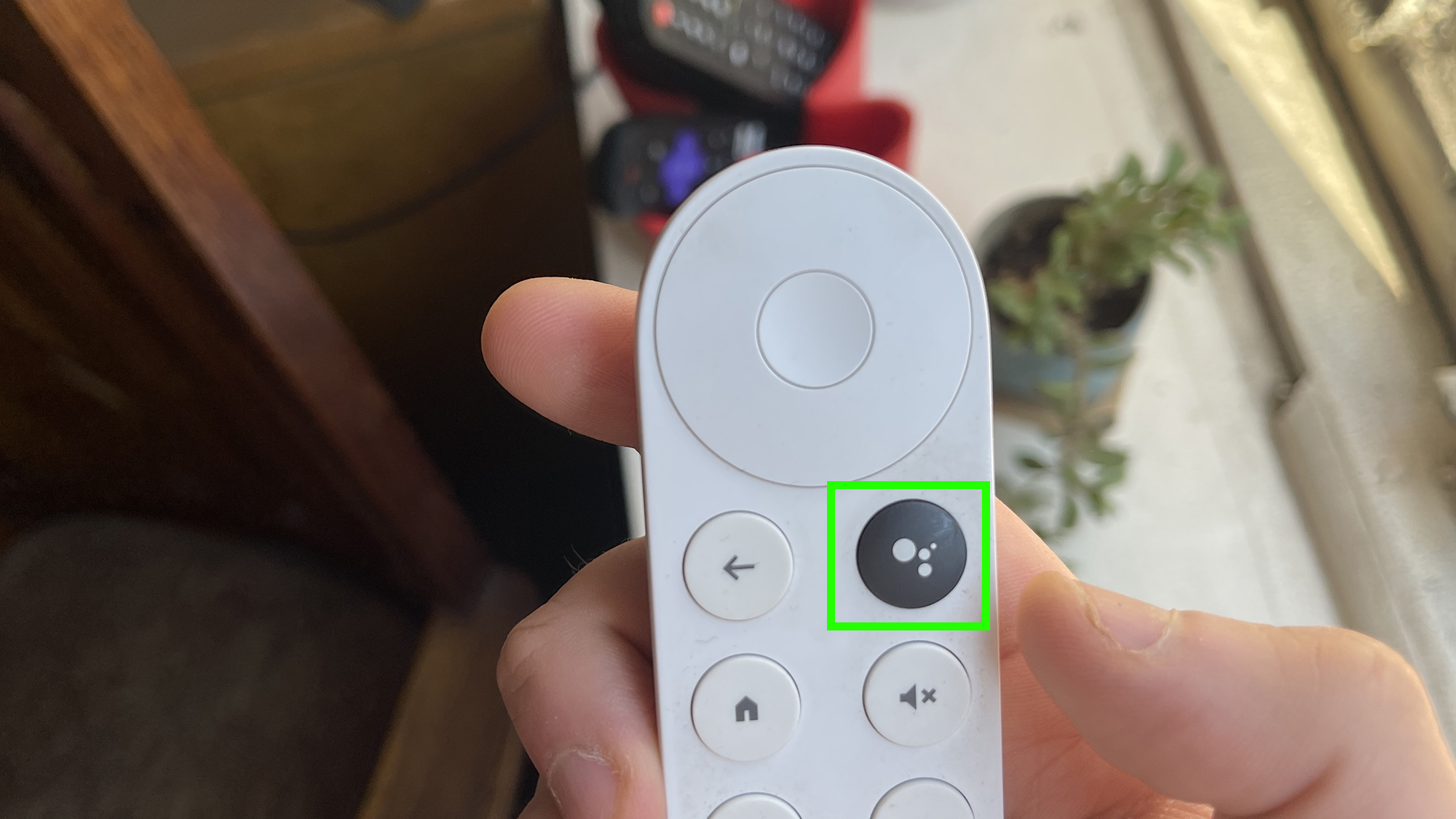 a green box indicates hold the Google Assistant button