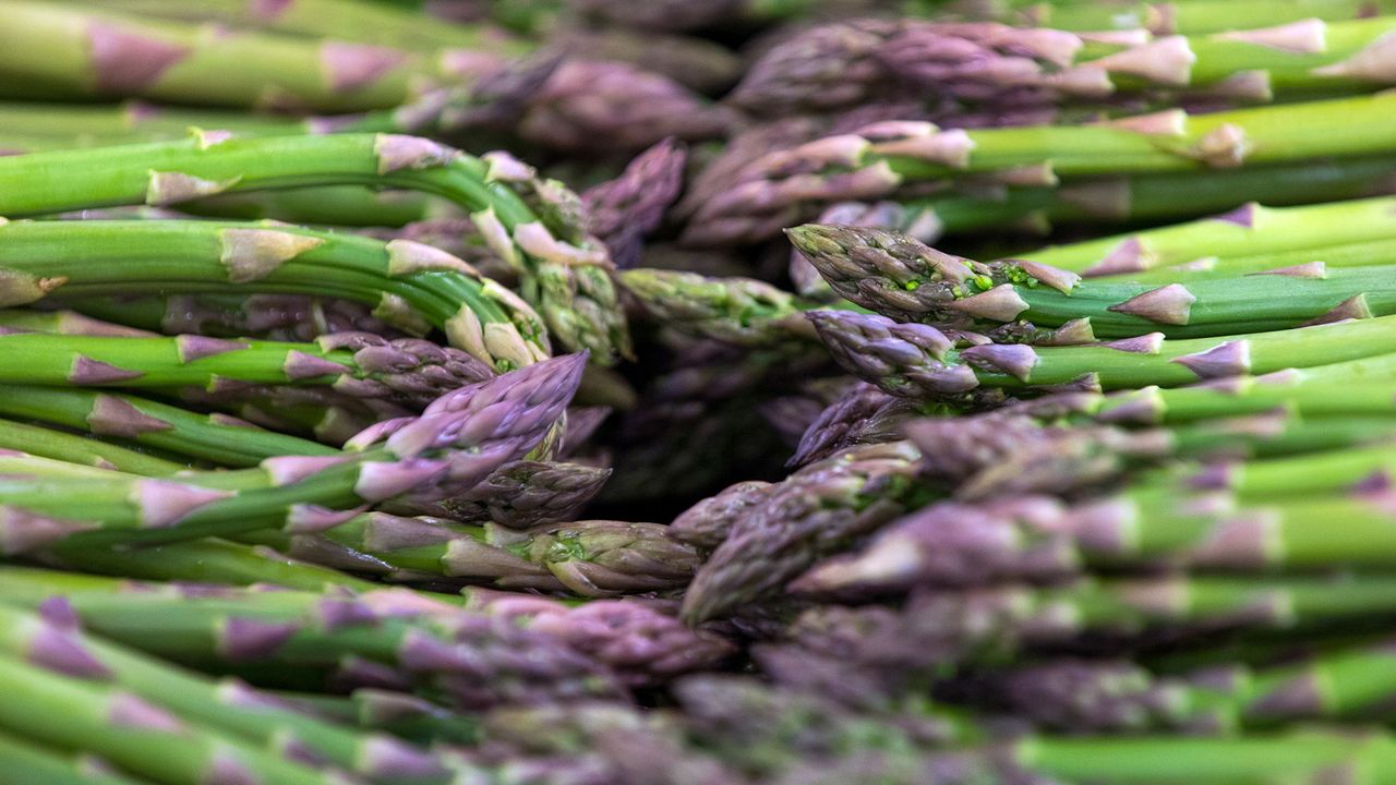 Monty Don&#039;s asparagus growing tips