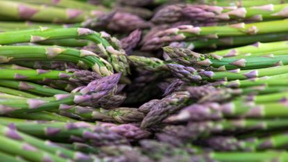 Monty Don's asparagus growing tips