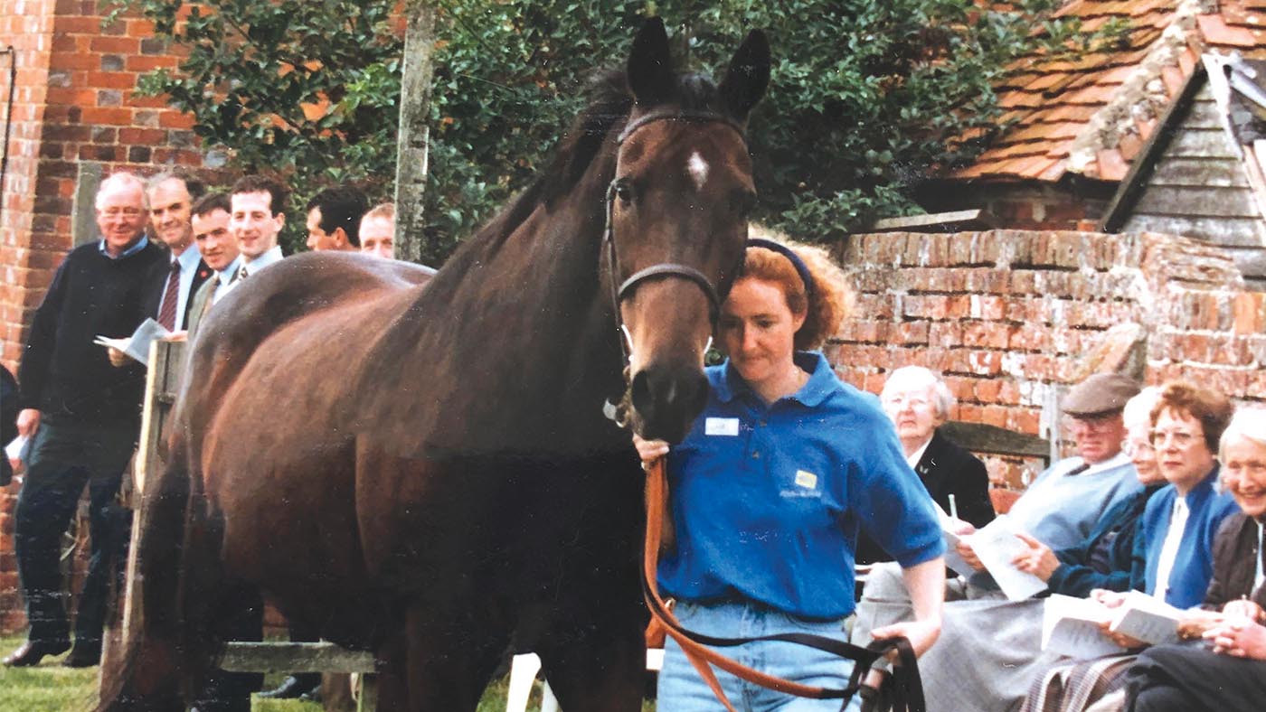 HAH311.legendsSirWattie.box_2_sir_wattie_henrietta_knight_open_day_by_matt_webb_rm.jpg