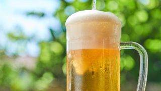 Glass of beer in the garden