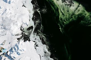 An imager on the Landsat 8 satellite captured this image, on March 5, 2017, of Antarctica's Granite Harbor, a cove near the Ross Sea, where the sea ice has a green hue due to a bloom of phytoplankton. 