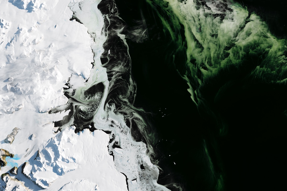 An imager on the Landsat 8 satellite captured this image, on March 5, 2017, of Antarctica&#039;s Granite Harbor, a cove near the Ross Sea, where the sea ice has a green hue due to a bloom of phytoplankton. 