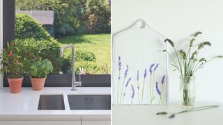 compilation image of plants in the kitchen hrebs on a window sill and lavender in a vase
