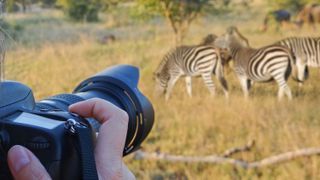 A camera pointing towards to some zebras
