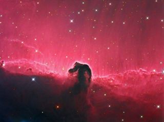 The horsehead nebula, taken by astrophotographer Terry Hancock, and featured in the new book "The Armchair Astronomer — Vol. 1 (Nebulae)."