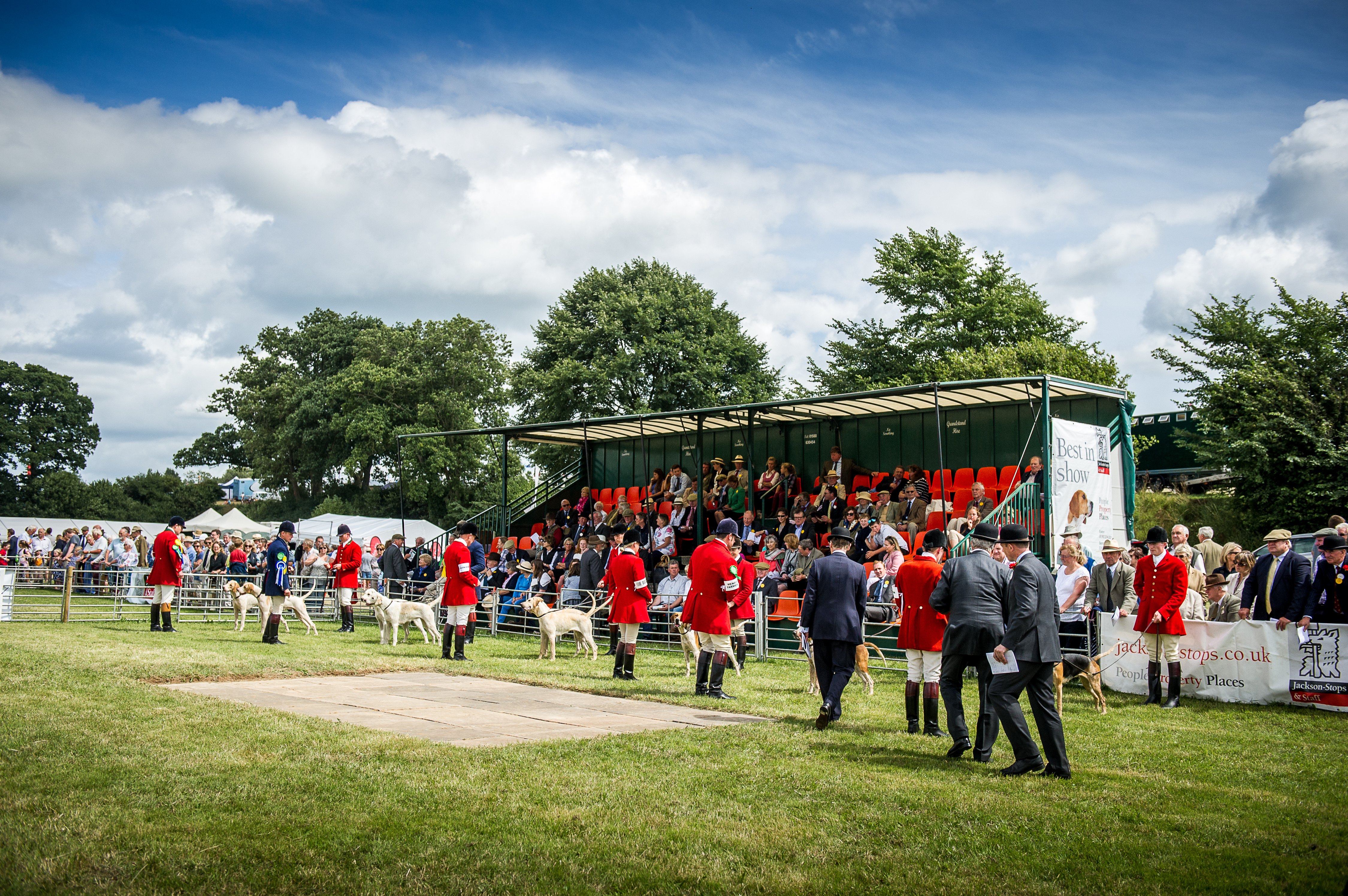 West of England Hound Show 2016 Honiton &mdash; There was a large number of spectators around all of the rings throughout the judging and they were often several rows deep during the championships