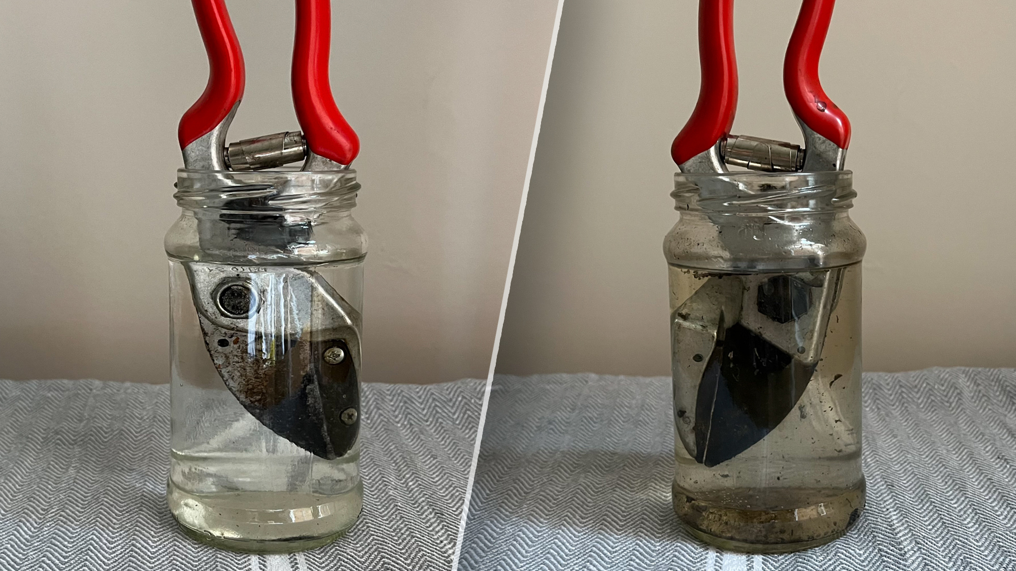 Pruning shears before and after cleaning