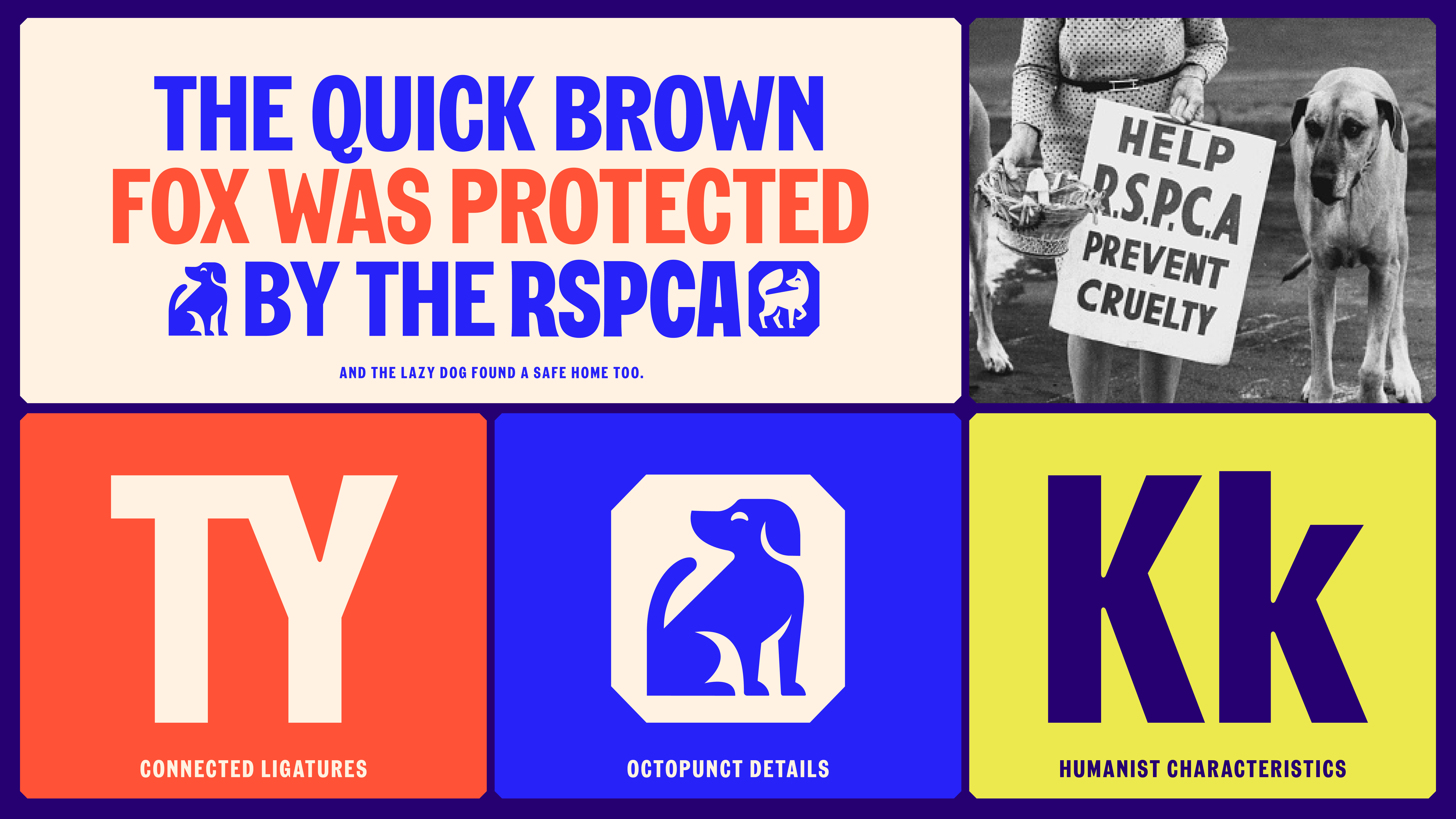 Collage of font family developed for RSPCA by JKR and Studio DRAMA