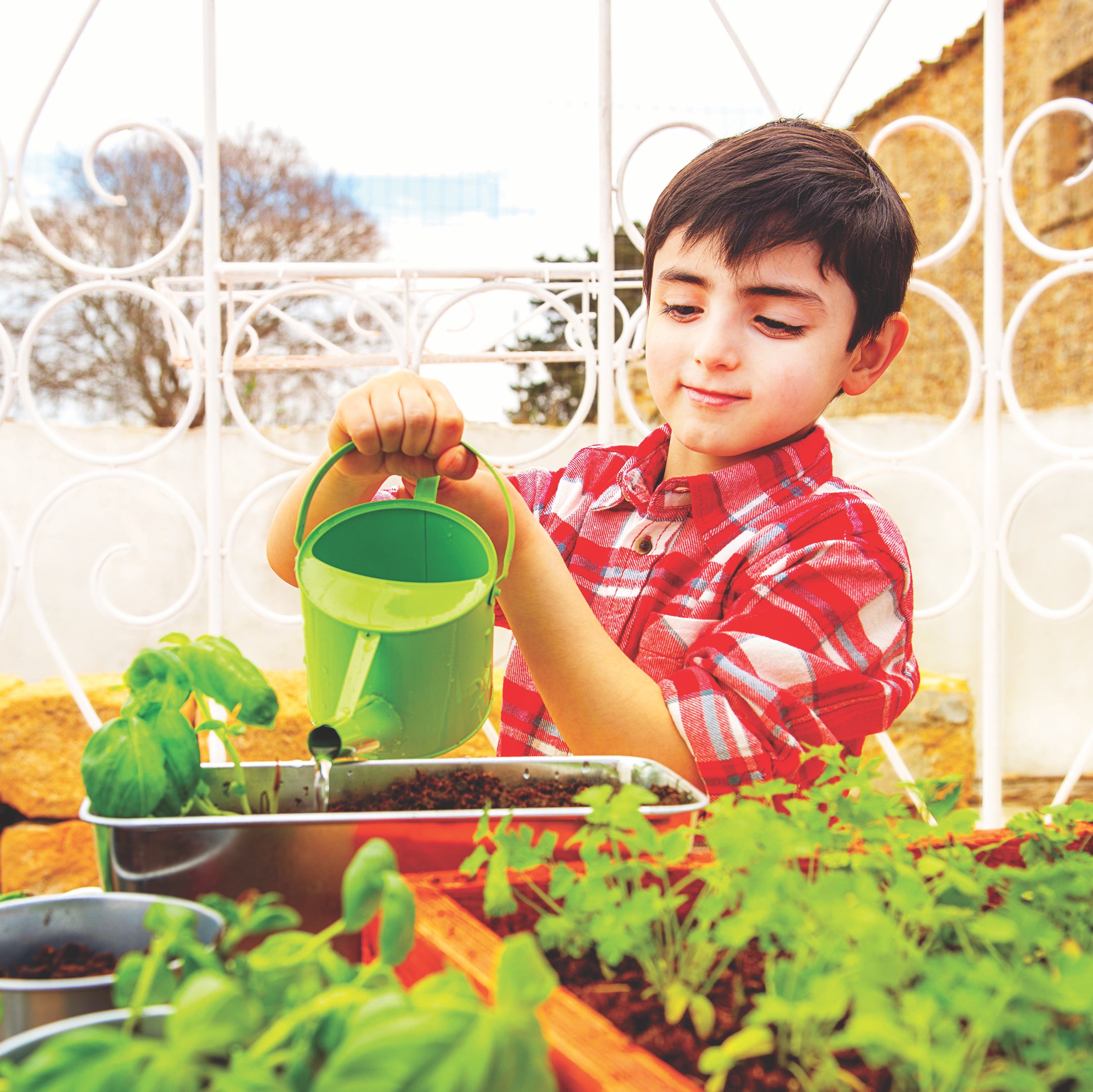 Boy watering some plants