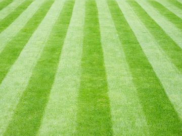 Tips & Information about Lawn Care | Gardening Know How