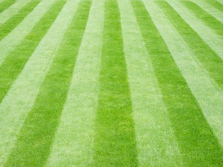 Stripes mown into a lush green lawn