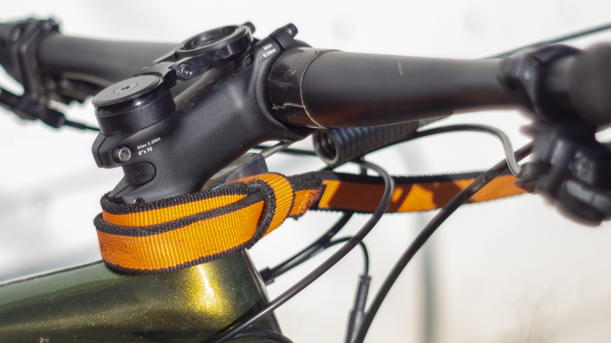 What is bikejoring? The sport every dogloving cyclist needs to know