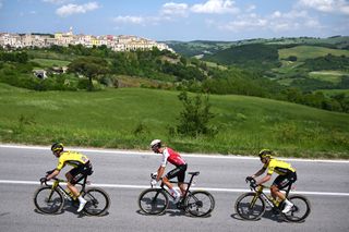 Visma-Lease A Bike sent Edoardo Affini and Tim van Dijke – half of their remaining squad – out in the break on stage 11