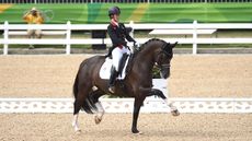 freeview equestrian sport