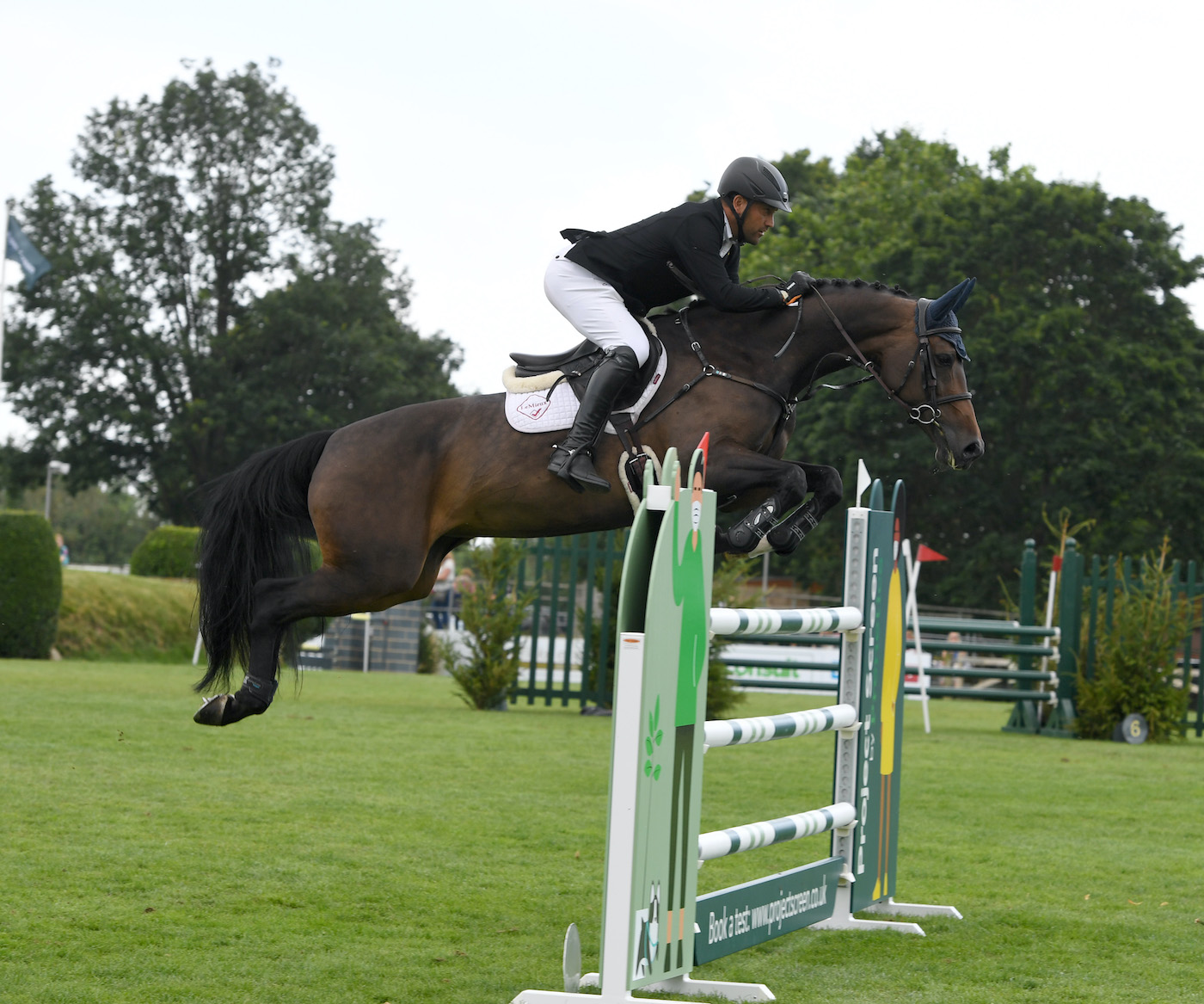 RIHS-Castle-Stakes-24.07.2145327.jpg