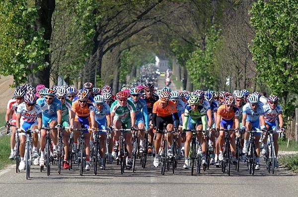 No hurry in le peloton during the opening kilometres.