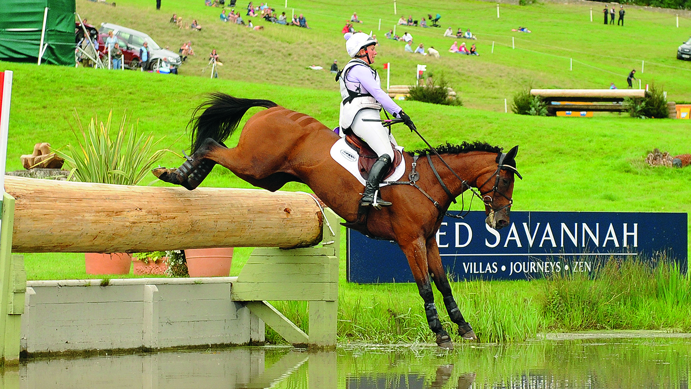 Arctic Soul dies: the ex-racehorse on the way to a British open win in 2017