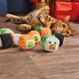 Aldi Cat Sushi Toy