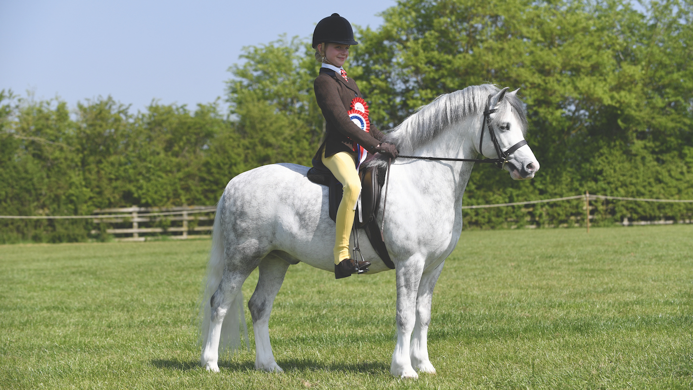 M&amp;amp;M champion first-ridden pony - winter training will reap rewards in the ring