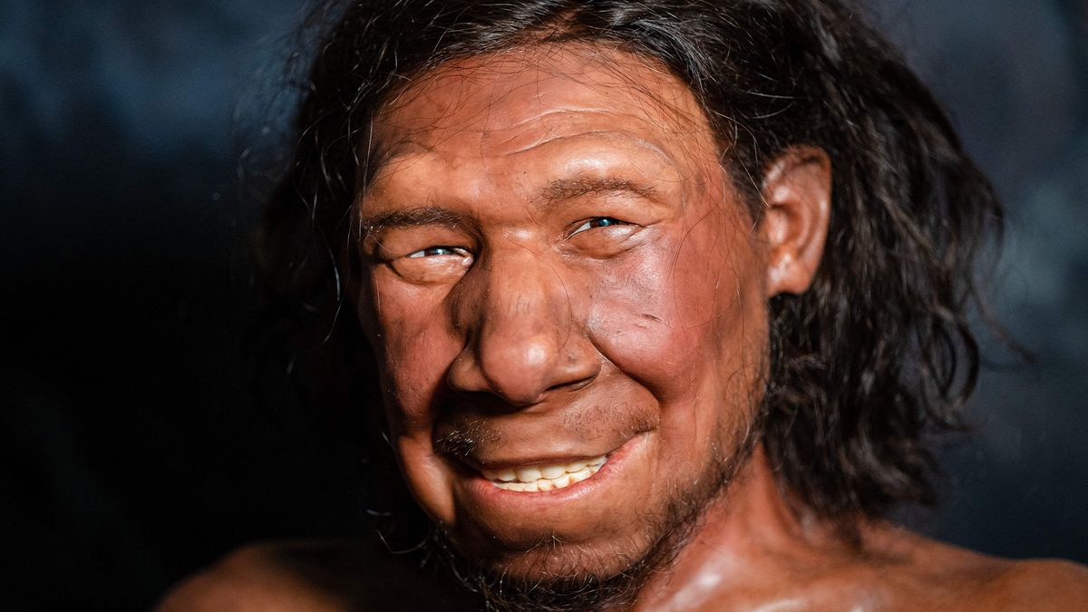 Neanderthals: Our extinct human relatives - Crumpe