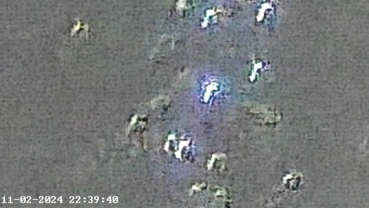 Akaso Seemor 200 camera samples.
