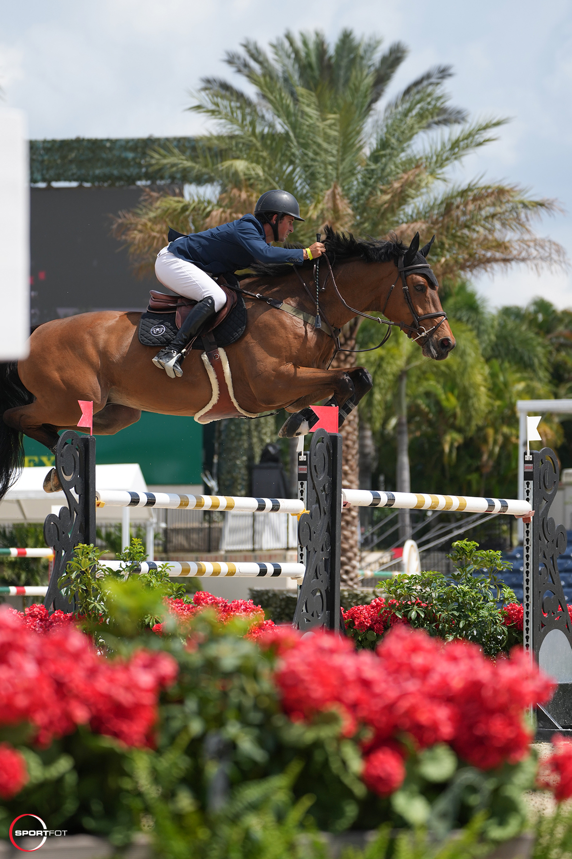 Nick Dello Joio and Cornet's Cambridge jumping at the Winter Equestrian Festival