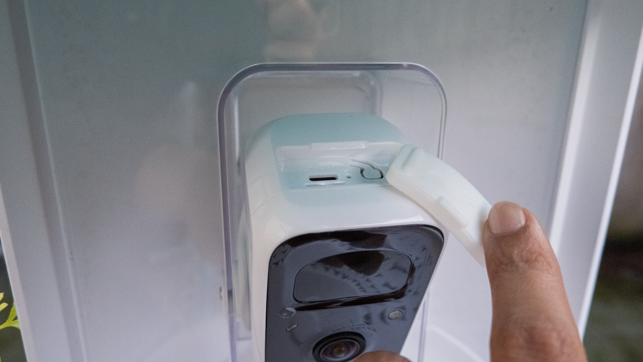 A Netvue Birdfy Feeder AI smart bird feeder