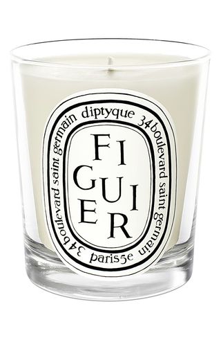 Figuier (fig) Scented Candle