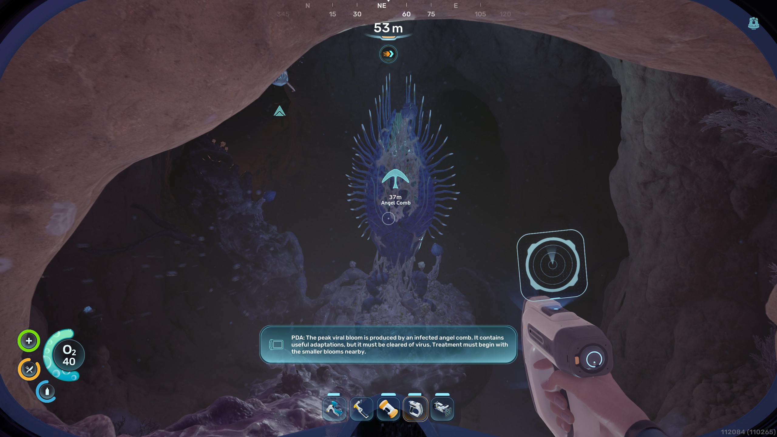 Subnautica 2 Angel Comb in chamber