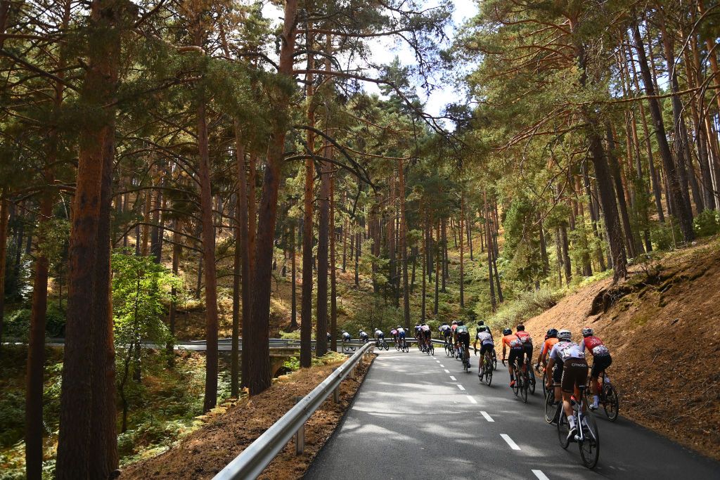 NAVACERRADA SPAIN SEPTEMBER 10 A general view of the Peloton passing through a wooded area at the Puerto de Navafra 1765m during the 77th Tour of Spain 2022 Stage 20 a 181km stage from Moralzarzal to Puerto de Navacerrada 1851m LaVuelta22 WorldTour on September 10 2022 in Puerto de Navacerrada Spain Photo by Tim de WaeleGetty Images