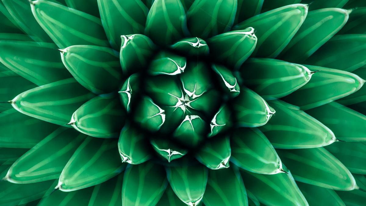 7 unexpected sources of inspiration all designers should consider ...