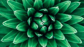 7 unexpected sources of inspiration all designers should consider