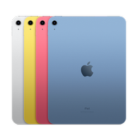 iPad 10th Gen, Pro, Air or Mini
