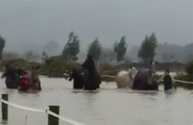 flood-feature.jpg